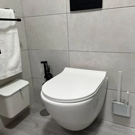 Mirlo Canteras Las Palmas