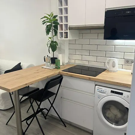 Mirlo Canteras Las Palmas