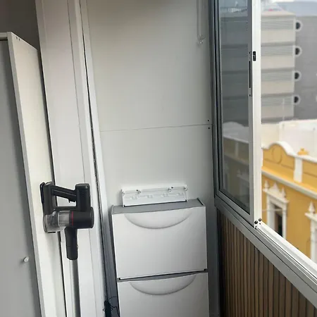 Mirlo Canteras * Las Palmas