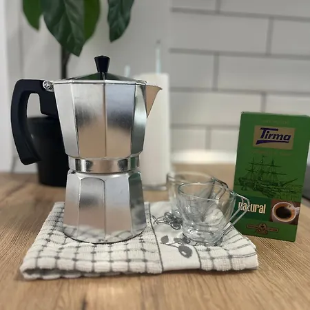 Mirlo Canteras Las Palmas de Gran Canaria