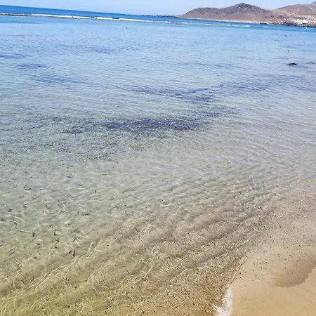 Mirlo Canteras Appartement