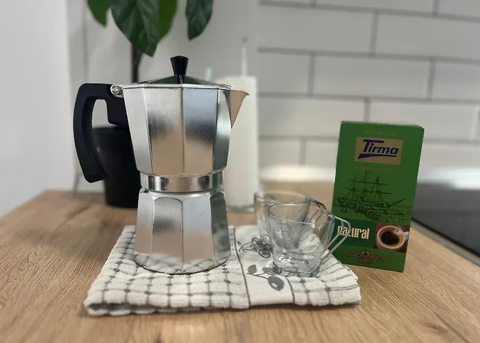 Mirlo Canteras Las Palmas de Gran Canaria