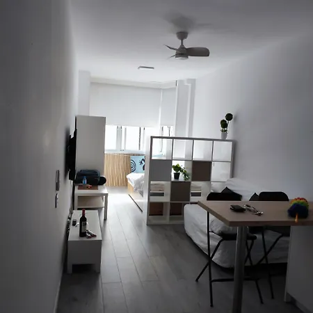 Mirlo Canteras Las Palmas de Gran Canaria