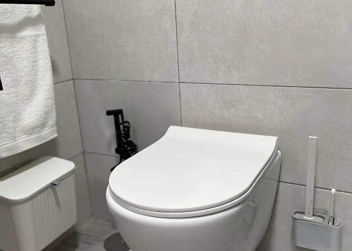 Mirlo Canteras Las Palmas de Gran Canaria