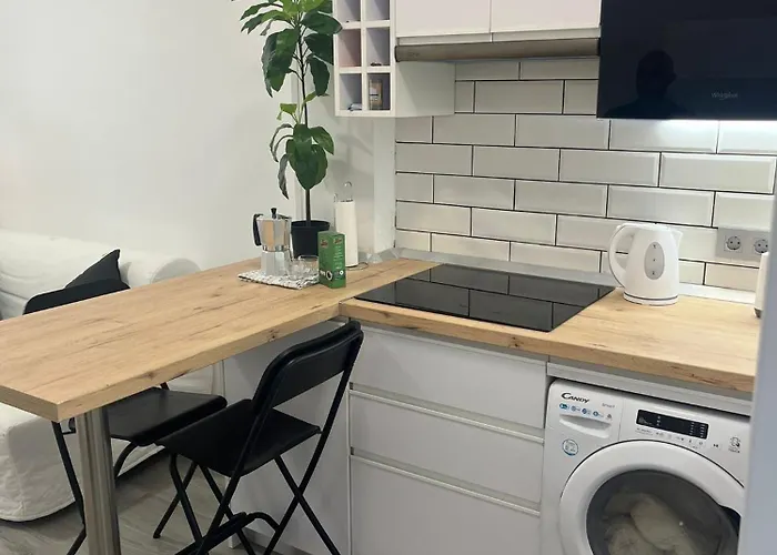 Mirlo Canteras Las Palmas de Gran Canaria