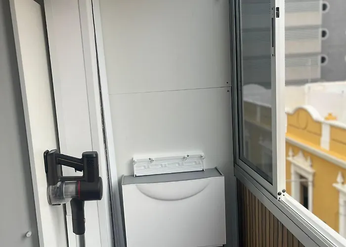 Mirlo Canteras * Las Palmas de Gran Canaria