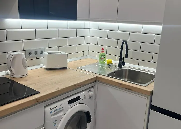 Mirlo Canteras Las Palmas de Gran Canaria