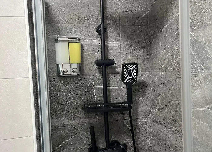 Mirlo Canteras Las Palmas de Gran Canaria