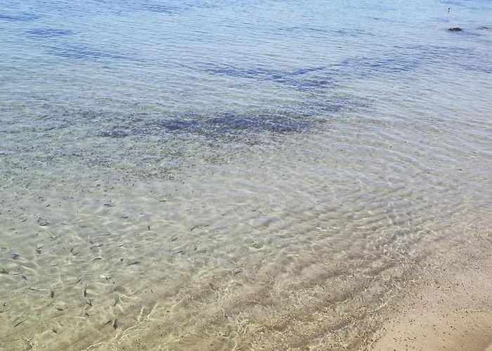 Mirlo Canteras Lejlighed