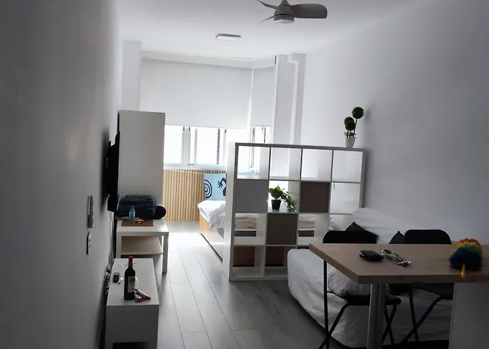 Mirlo Canteras Las Palmas de Gran Canaria